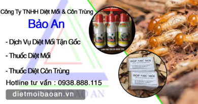 đơn vị diệt mối uy tín tphcm