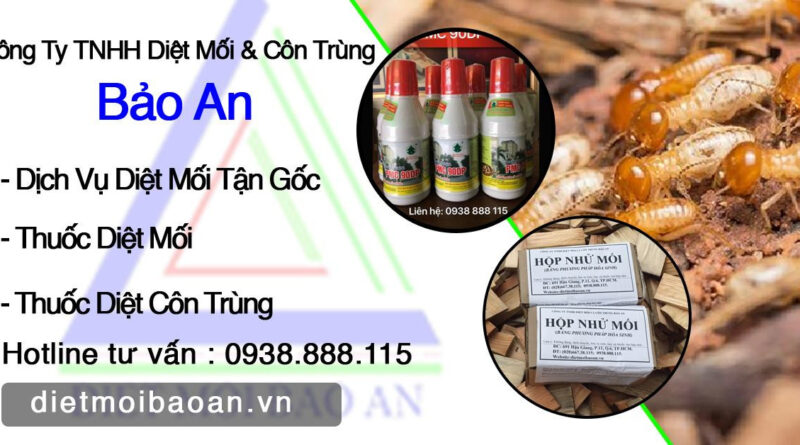 đơn vị diệt mối uy tín tphcm