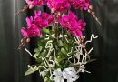 Đặt hoa đám tang tại Bình Dương giao nhanh, mẫu đẹp, giá hợp lý