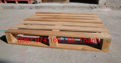 pallet gỗ gần đây