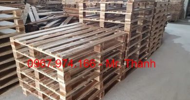 pallet gỗ giá rẻ