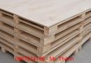 pallet tân bình