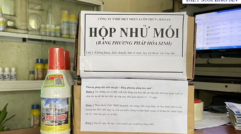 diệt mối phường Thủ Đức