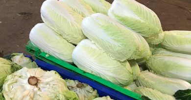 Báo giá rau củ sỉ