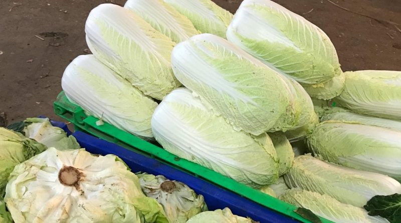 Báo giá rau củ sỉ