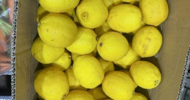 mối sỉ rau củ quả giá rẻ