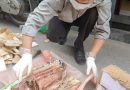 Liên hệ dịch vụ diệt mối phường Nhiêu Lộc uy tín
