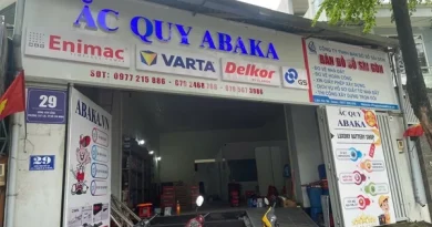 Bình ắc quy xe ô tô BMW