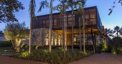 Tham khảo mẫu nhà biệt thự sân vườn đẹp TPHCM