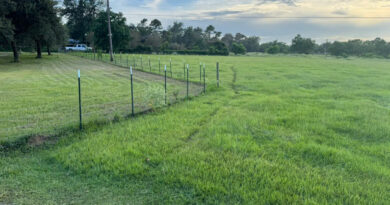 Thặng dư việc làm dự án EB-5