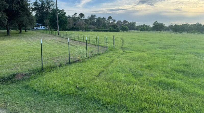 Thặng dư việc làm dự án EB-5